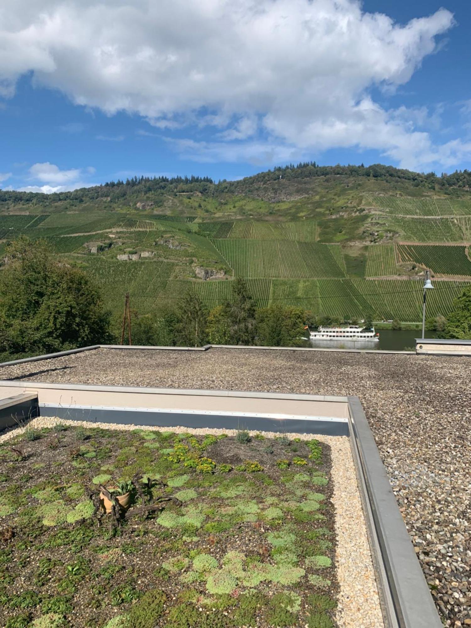 Ferienwohnung Weinrebe Bernkastel-Kues Exterior foto